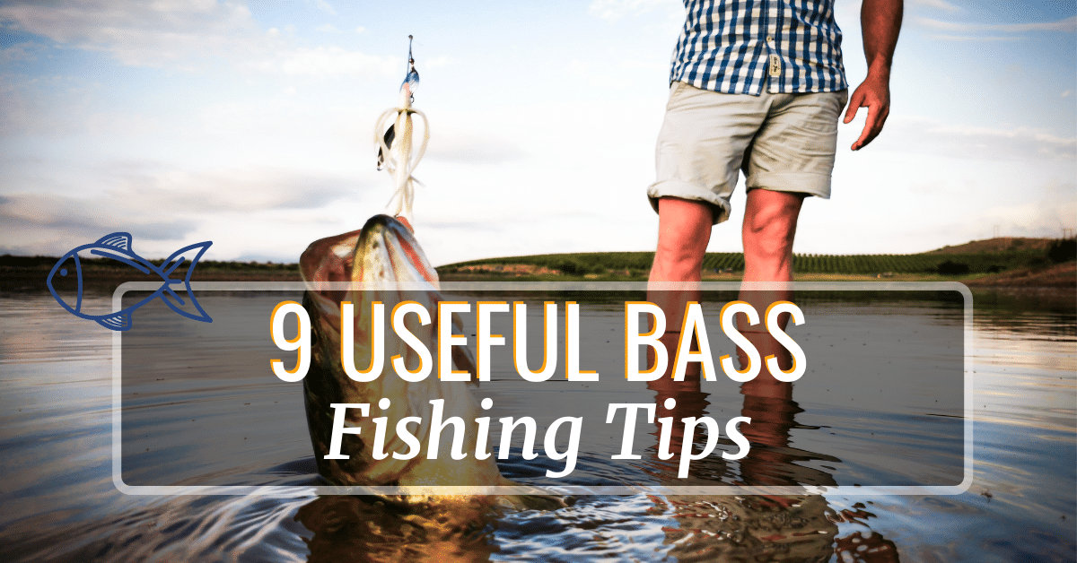 Bass Fishing Tips: How To Catch Bass In 2023