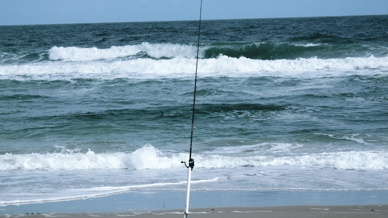 Best Surf Fishing Rods In 2024 Reviewed [Buying Guide]
