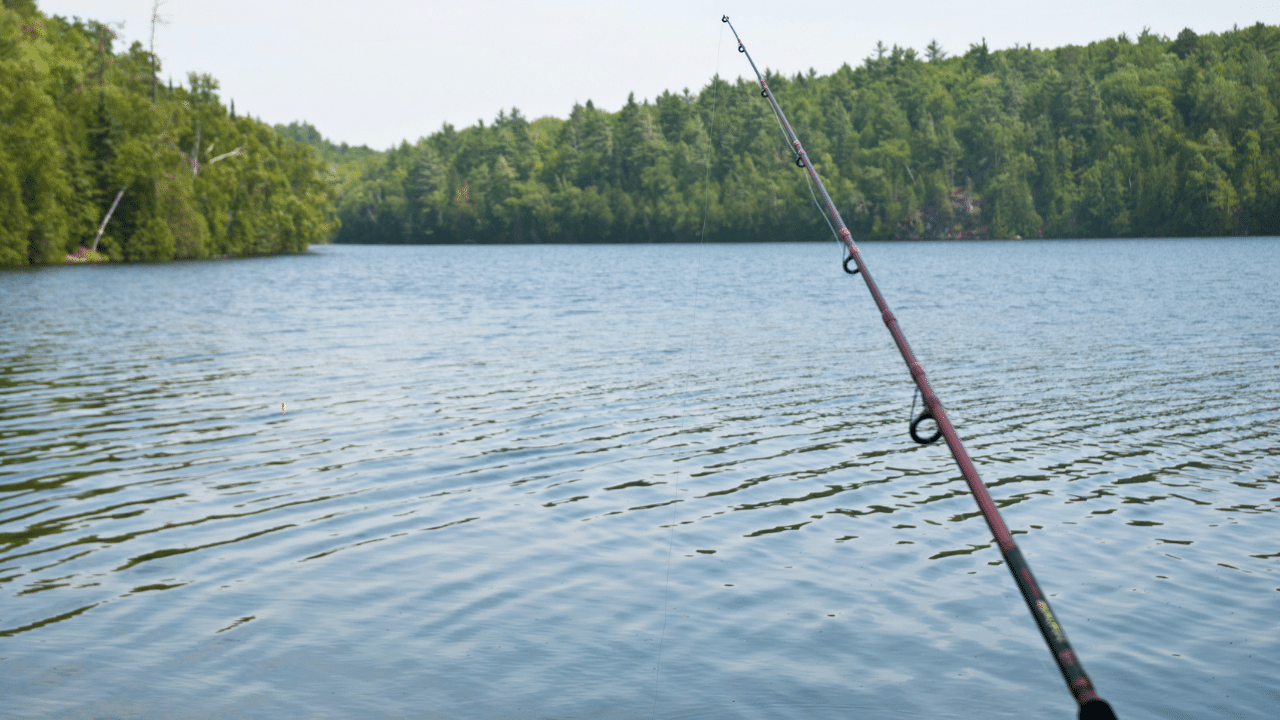 Top 7 Best Walleye Rods For 2024 [EXPERT Buying Guide]