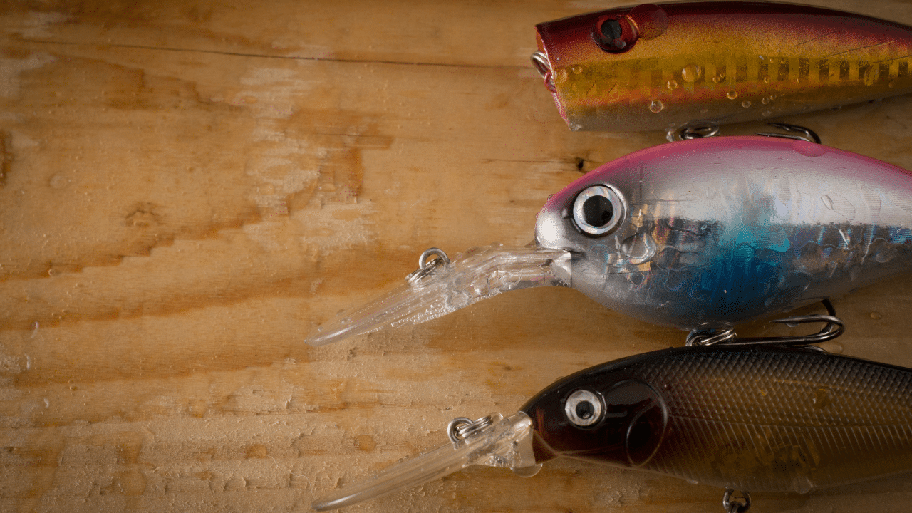 9 Best Salmon Lures Of 2024 (Rod And Reel Buying Guide)