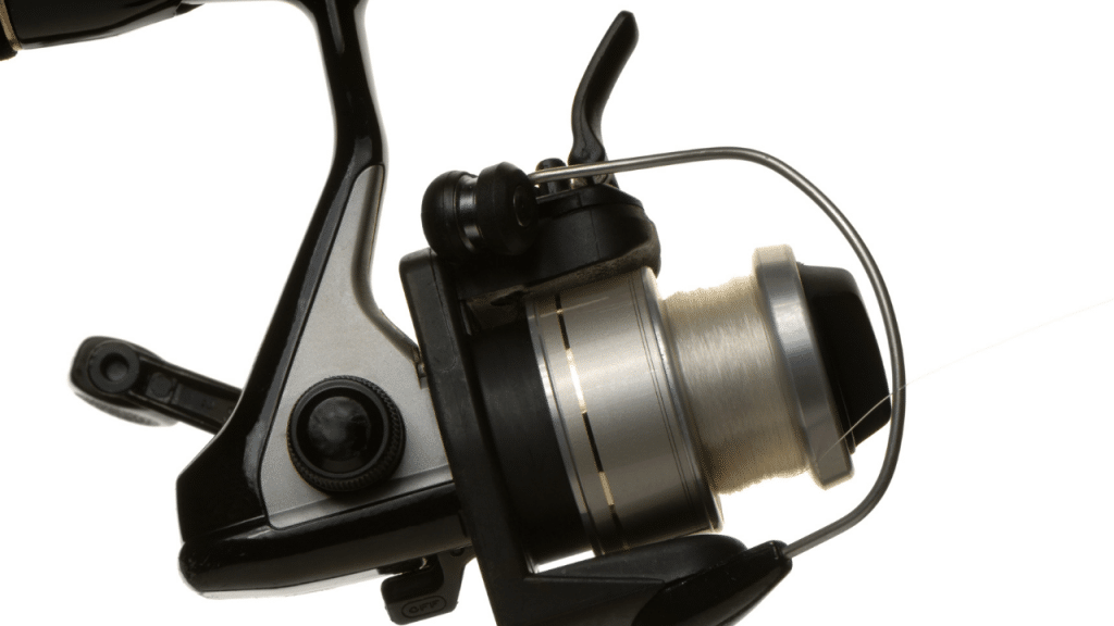 Best Spinning Reels For Bass
