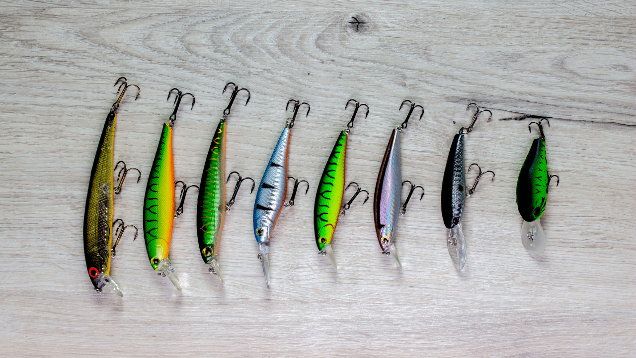 5 Best Carp Lures On The Market In 2024