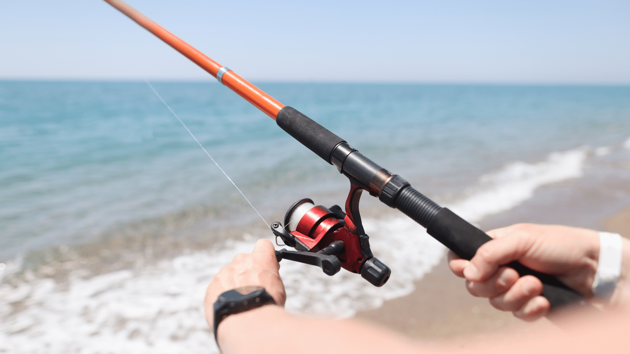 5 Best Surf Fishing Rod And Reel Combos To Cast Far [2024]