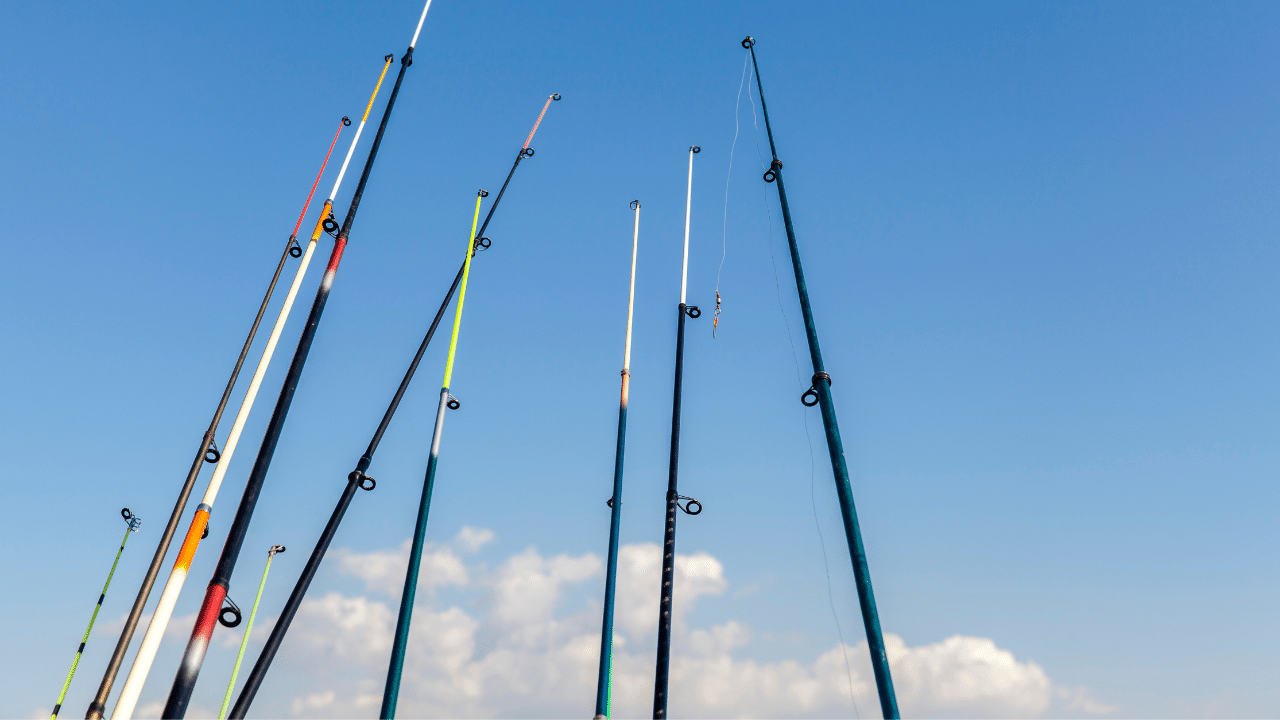 9 Best Spinning Rods In 2024 Reviewed With Buying Guide
