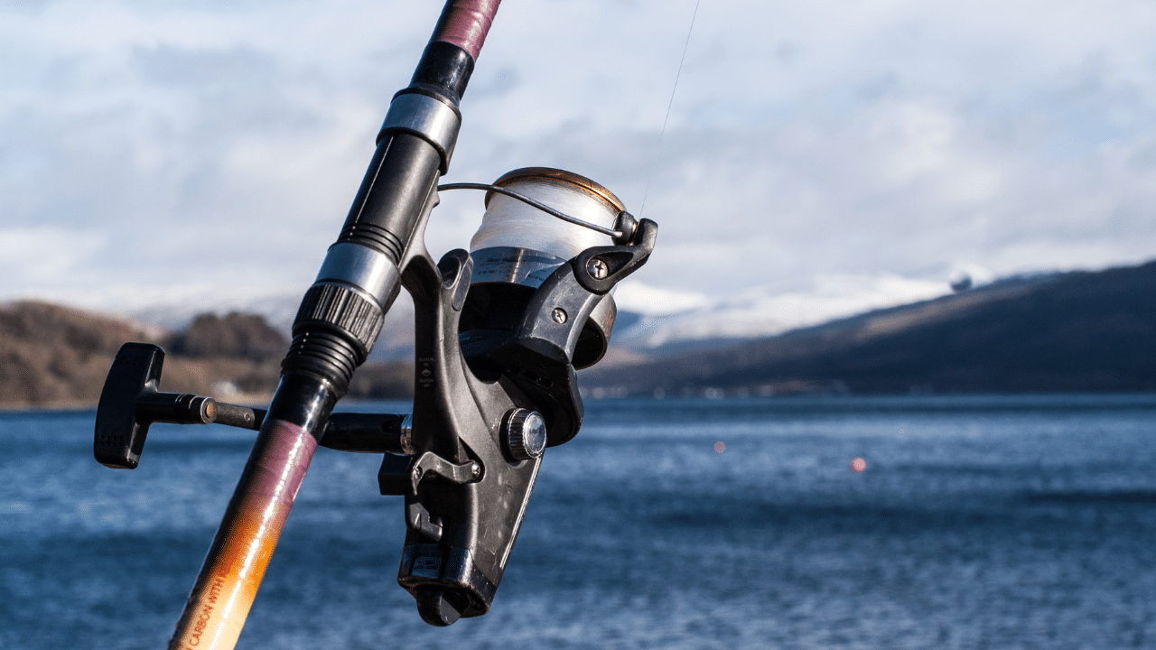 Best Fishing Rods For Both Fresh And Saltwater Best Store