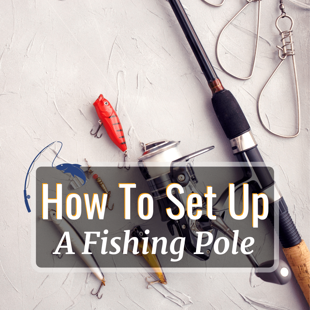 How To Set Up A Fishing Pole In 17 Simple Steps