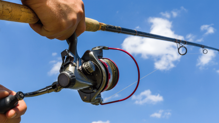 How To Cast A Spinning Reel For Beginners + Reel In The Fish